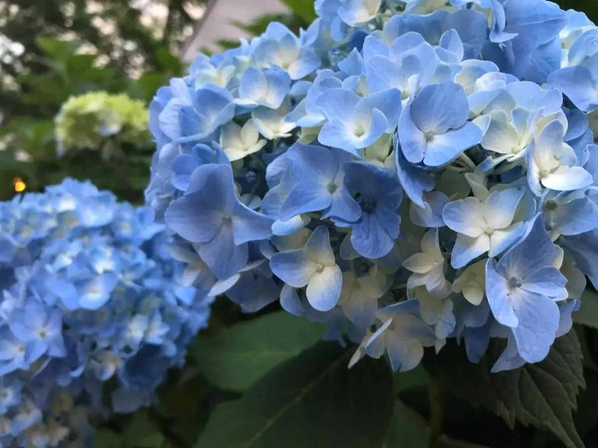 Hotel Tetora Spirit Sapporo - Vacation Stay 59354V