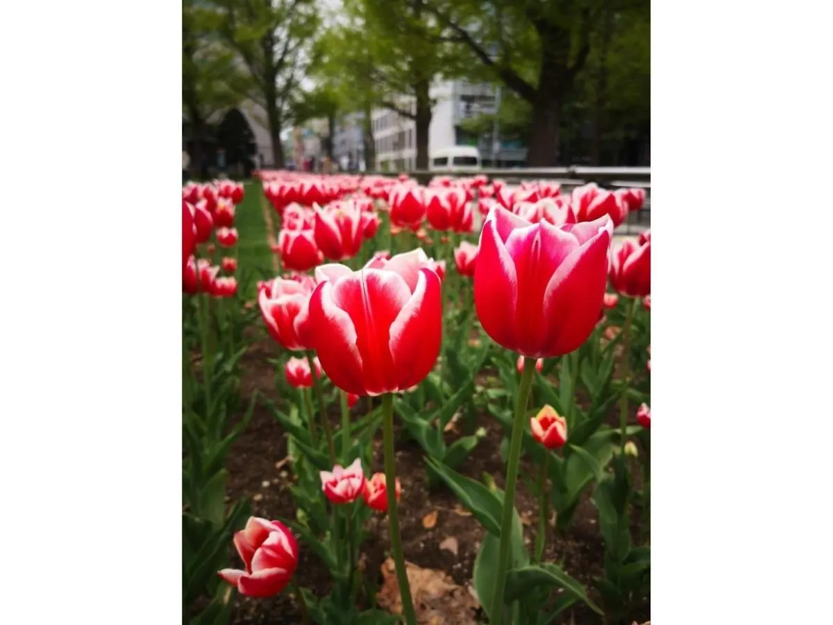 Hotel Tetora Spirit Sapporo - Vacation Stay 59354V Japan